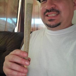 Meet your Posher, Jake